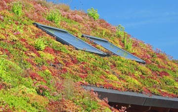Rawtenstall living roof systems
