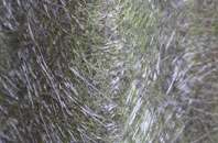 Rawtenstall fibreglass roof work